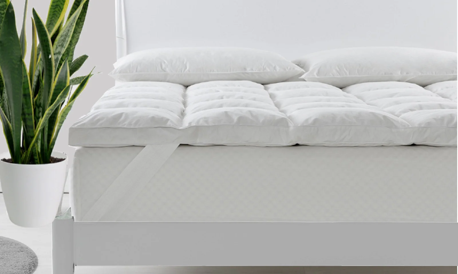 Mattress Pads & Toppers